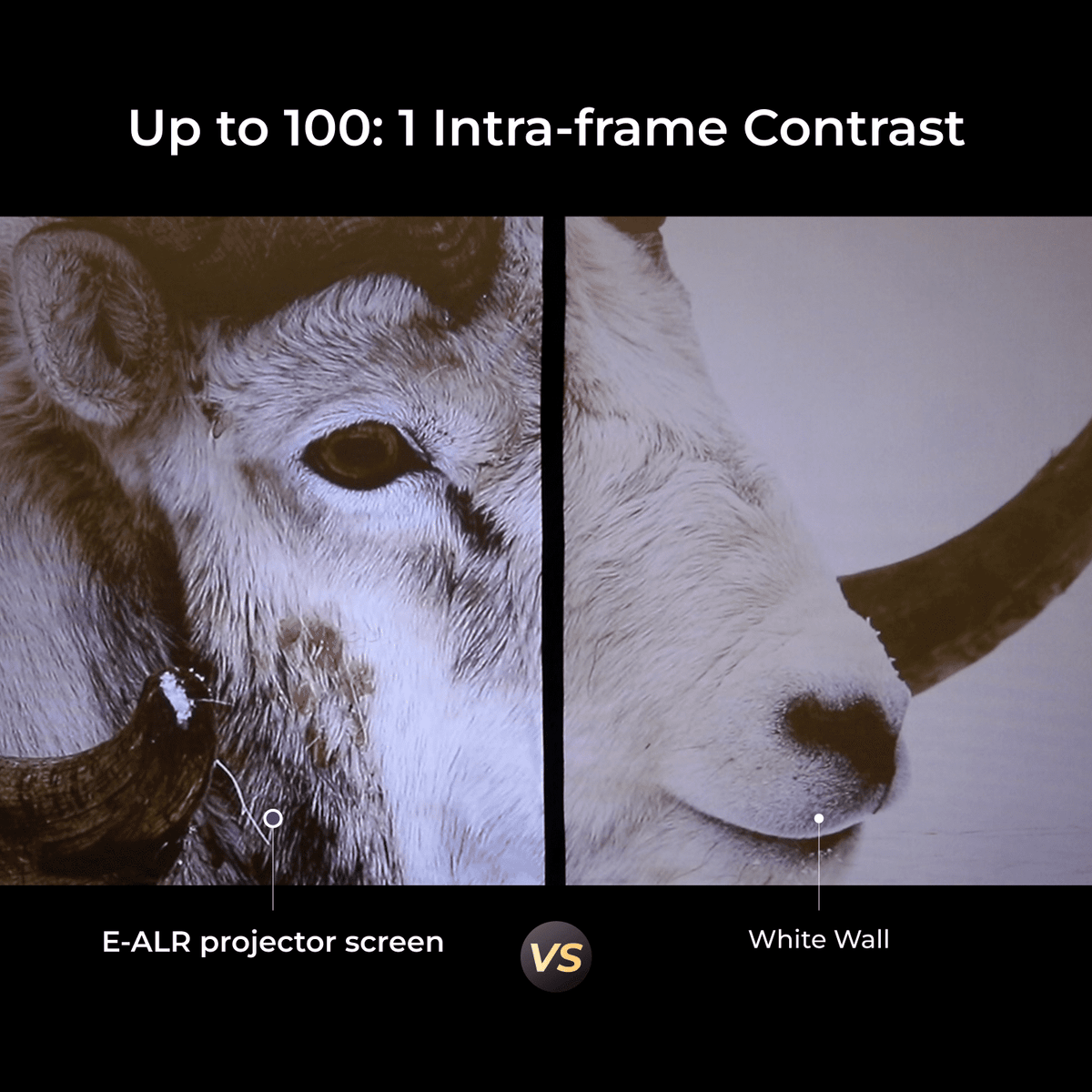 ULTIMEA E-ALR 100" 16:9 Home Projector Screen with Stand, Portable & Lightweight