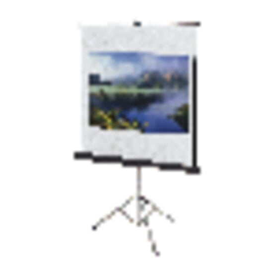 Portable Projection Screen,60" W,60" H 560S
