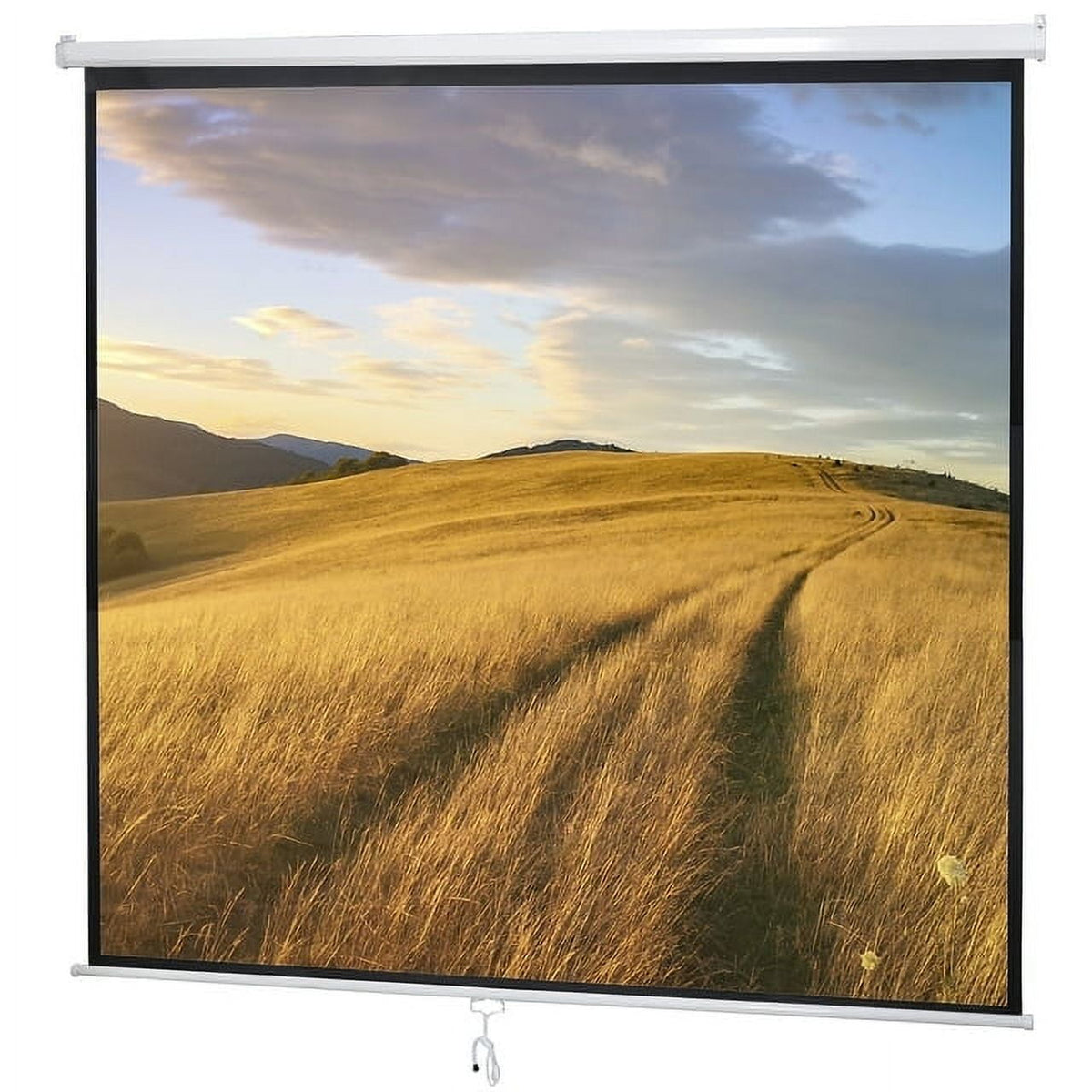 ZENY 120" 1:1 Manual Pull Down Auto Lock Projector Projection Screen Home Theater Presentation White
