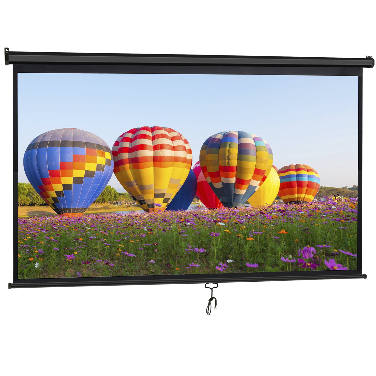 HomGarden 80inch 16:9 Portable Projector Screen 1080P HD 4K Folding Anti-Crease Movie Screen, White