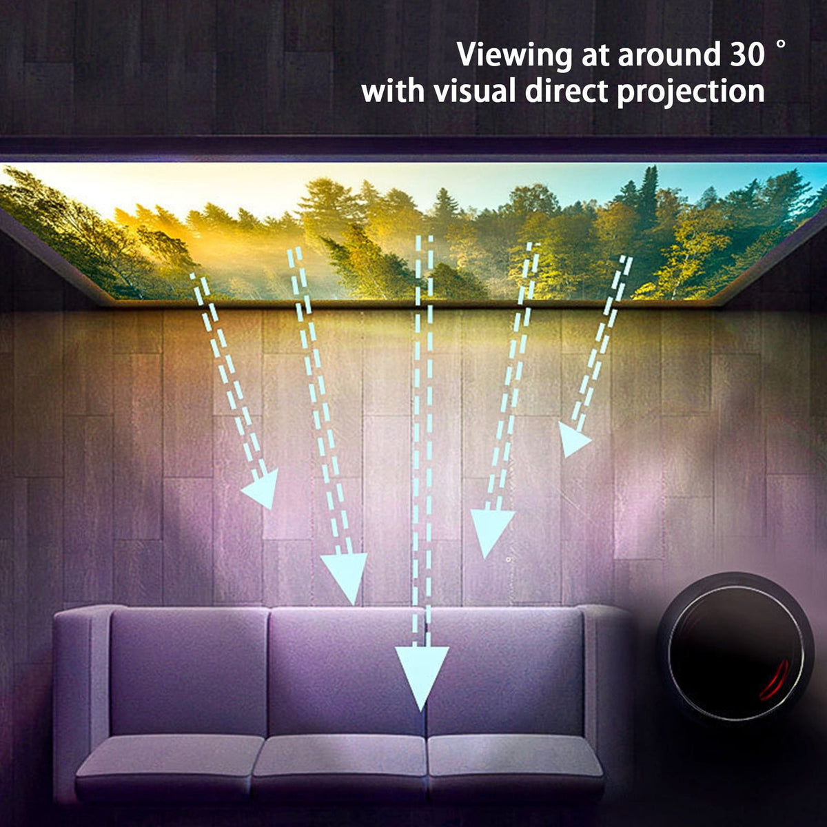 Viflosae Projection Screen 80 Inch, Washable Projector Screen 16:9 Foldable Portable Projector Movies Screen For Home Outdoor Indoor Electronics Gadgets