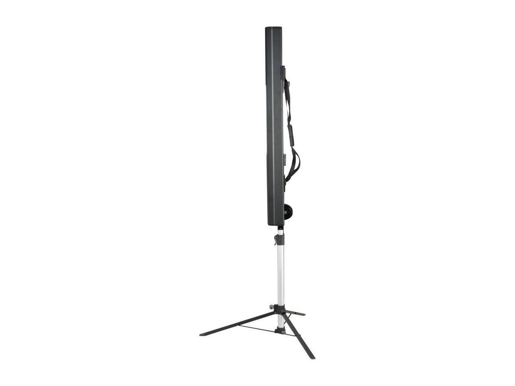 Epson ES3000 80" Manual Projection Screen V12H002S3Y