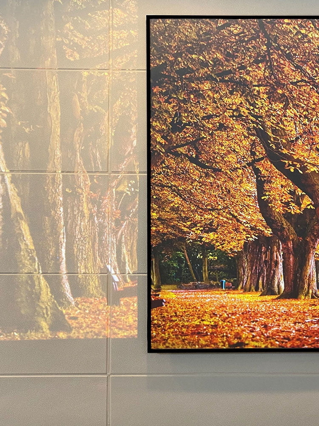 Yinzam 120inch Laser Long Throw Projector Fresnel Screen for Day Light Using, 85% Ambient Light Rejecting (ALR) Fresnel Projector Screen for Long Throw Projector