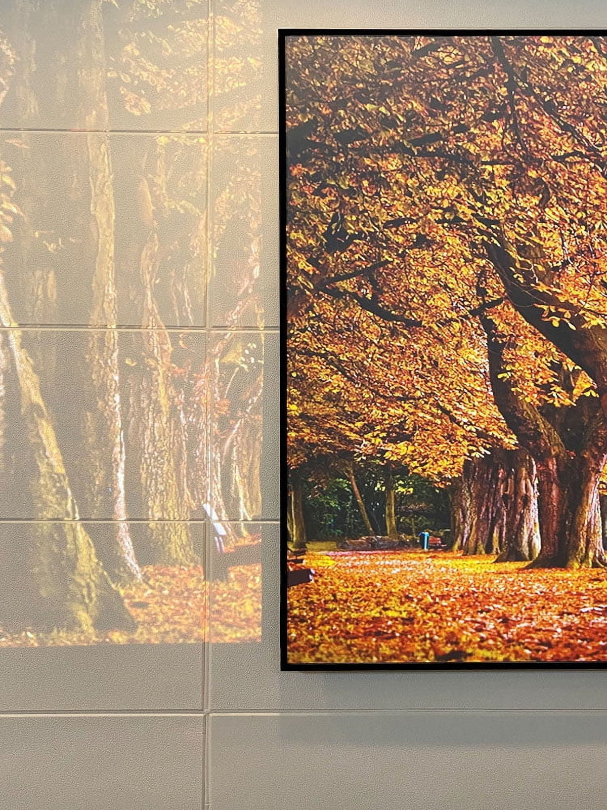Yinzam 120inch Laser Long Throw Projector Fresnel Screen for Day Light Using, 85% Ambient Light Rejecting (ALR) Fresnel Projector Screen for Long Throw Projector