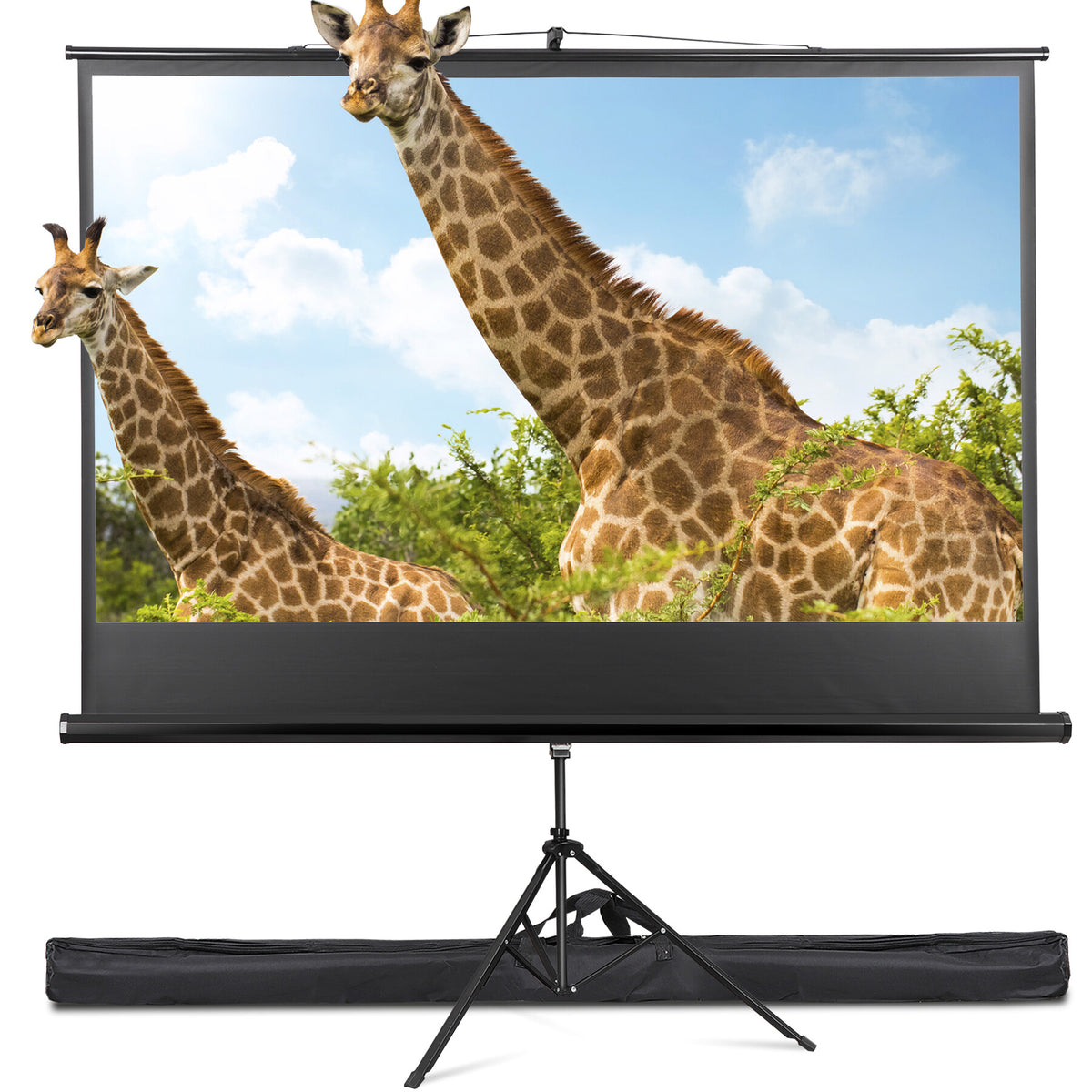 ZENSTYLE 84" 16:9 HD Projector Screen Stable Tripod Stand Movies Presentations with Carry Bag Black