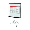 Portable Projection Screen,60" W,60" H 560S