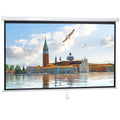 ZENY 100" Diagonal 16:9 Projection Projector Screen HD Manual Pull Down Home Theater