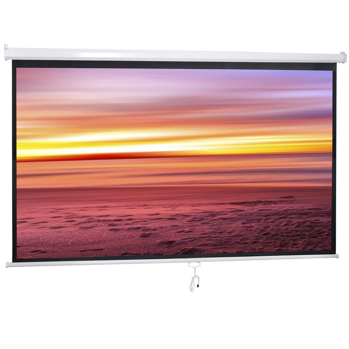 ZENY 100" Diagonal 16:9 Projection Projector Screen HD Manual Pull Down Home Theater