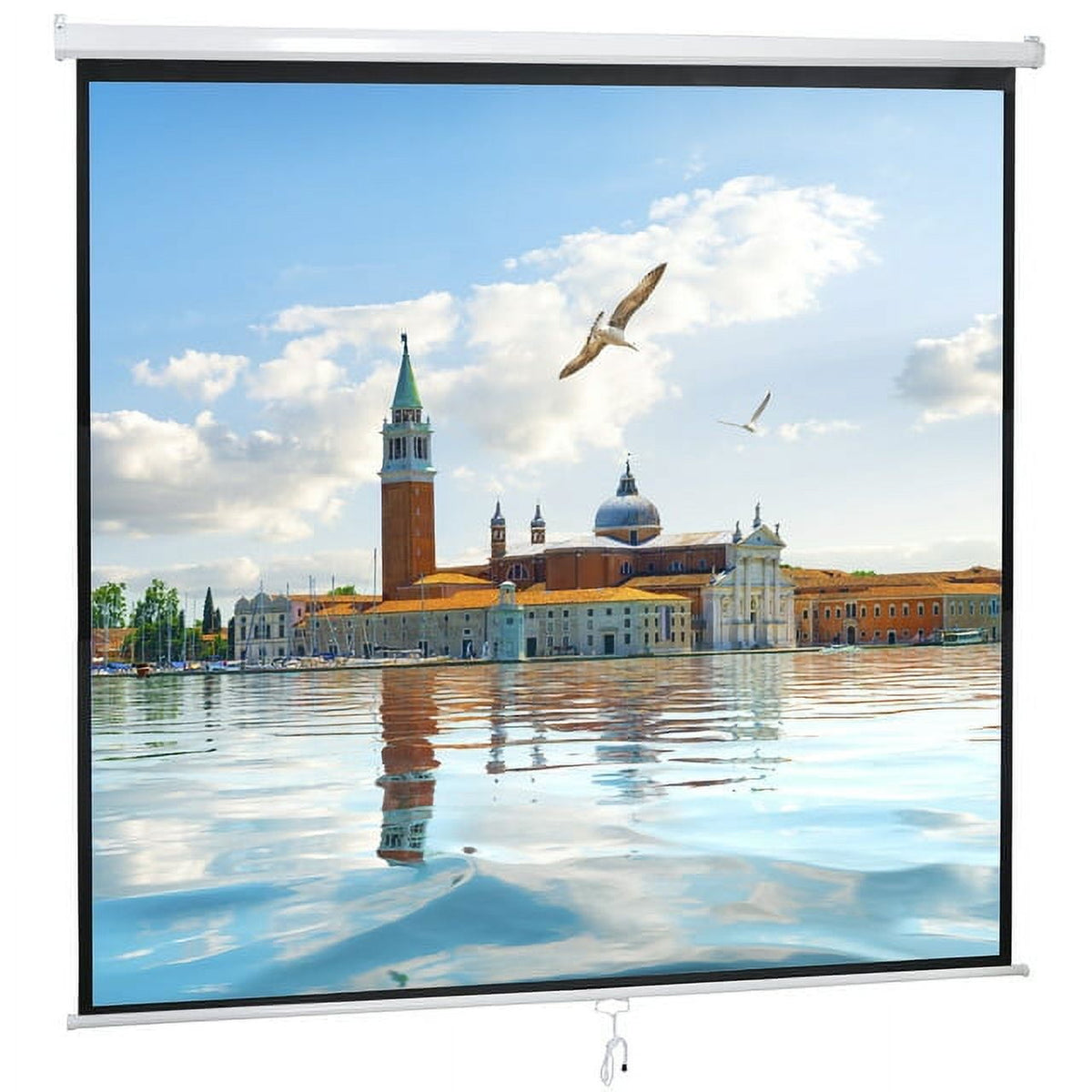 ZENY 120" 1:1 Manual Pull Down Auto Lock Projector Projection Screen Home Theater Presentation White