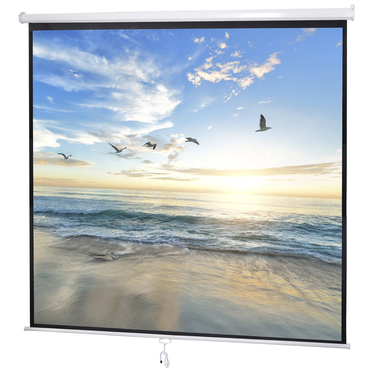 HomGarden 120inch Projection Screen 1:1 Movie Projector, Foldable 4K Ultra HD Active 3D, Ceiling Wall Mount
